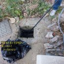 은행영사정로 이미지