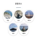 제주투어패스 서귀포유람선 탑승후기, 삼매봉153식당(유람선 근처 가성비맛집)