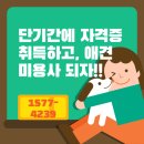 뽀숑그루밍 | “내가 포항애견미용학원에서 인생 뒤집힌 이유”