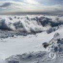 한라산방역
