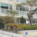금화로 네이버블로그
