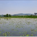 경기둘레길 시흥54코스 이미지