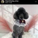 더 이쁘개 이미지