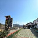 장항가든 | ☆남해서면맛집☆ : 스포츠가든장어 + 주변 가볼만한 곳