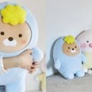 제이지 이미지