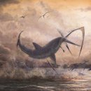 대양수산 이미지