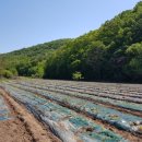 해인들농장 이미지