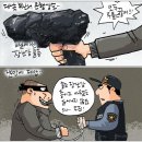 2월11일