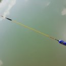 탑전낚시터 이미지