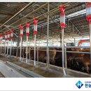 충실 태양광발전소 이미지