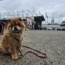 365자동차공업사 이미지