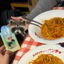 세븐일레븐 서산취평점 | 일본 행사 갔다온 썰 + 꿀팁