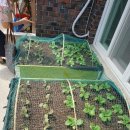 기로(여)경로당 이미지