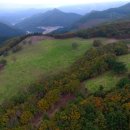 삼수령목장 이미지