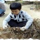 여주-0817 이미지