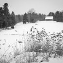 언덕위에하얀집 이미지