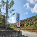 허브하우스금오산힐링캠프 | &#39;허브하우스 금오산힐링캠프&#39; 에서 할로윈캠핑 하고왔어요