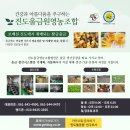 진도원조울금사업소가 제안하는 커큐민이 듬뿍 함유된 울금의 효능과 먹는방법!