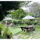 풀뿌리 흑두부 이미지