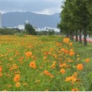 낙동강관리본부 화명생태공원 13 이미지