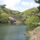 홍연폭포 이미지