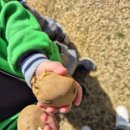 보성은하유치원 이미지