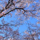 펜션THE쉼 네이버블로그
