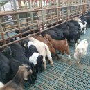 남원미래농장 이미지