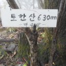 매전면사무소 Daum카페