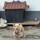 송천주유소 이미지