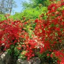 길치근린공원(2) 이미지