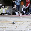 햇빛노래연습장 이미지