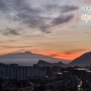 하모리-26 이미지