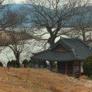 강학1리 이미지