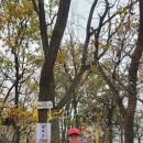 석성산 초당고앞 이미지