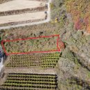 산수리농장 이미지