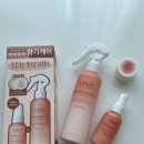 모던케어 | 올리브영 모던피치 향기케어 후기