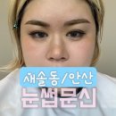 테오르헤어 이미지