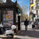 화창약국 이미지