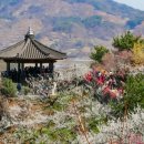 대산민박 | 2026 광양 매화축제 숙소 추천｜가성비 좋은 호텔·펜션 총정리