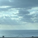 종달 홀라인 이미지