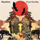 Blackbud - From the Sky 이미지