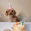 댕쏘스윗 이미지