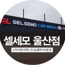 셀세모 대구점 이미지