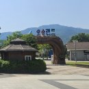 대신주말농장 정보화마을 | 곡성 섬진강 기차마을에서 하루 즐기기