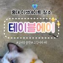 주식회사 테이블에이 고양이카페 | 홍대 가볼만한곳 ,홍대고양이카페 추천! 테이블에이