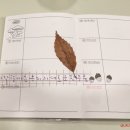 현선생미용실