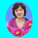 쓰리랑PC Daum카페