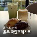 3725 | 울산 대형 카페 울주 파인포레스트 - 주차 메뉴 음료 추천 디저트 솔직후기