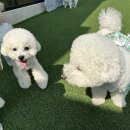 팽성유치원 이미지